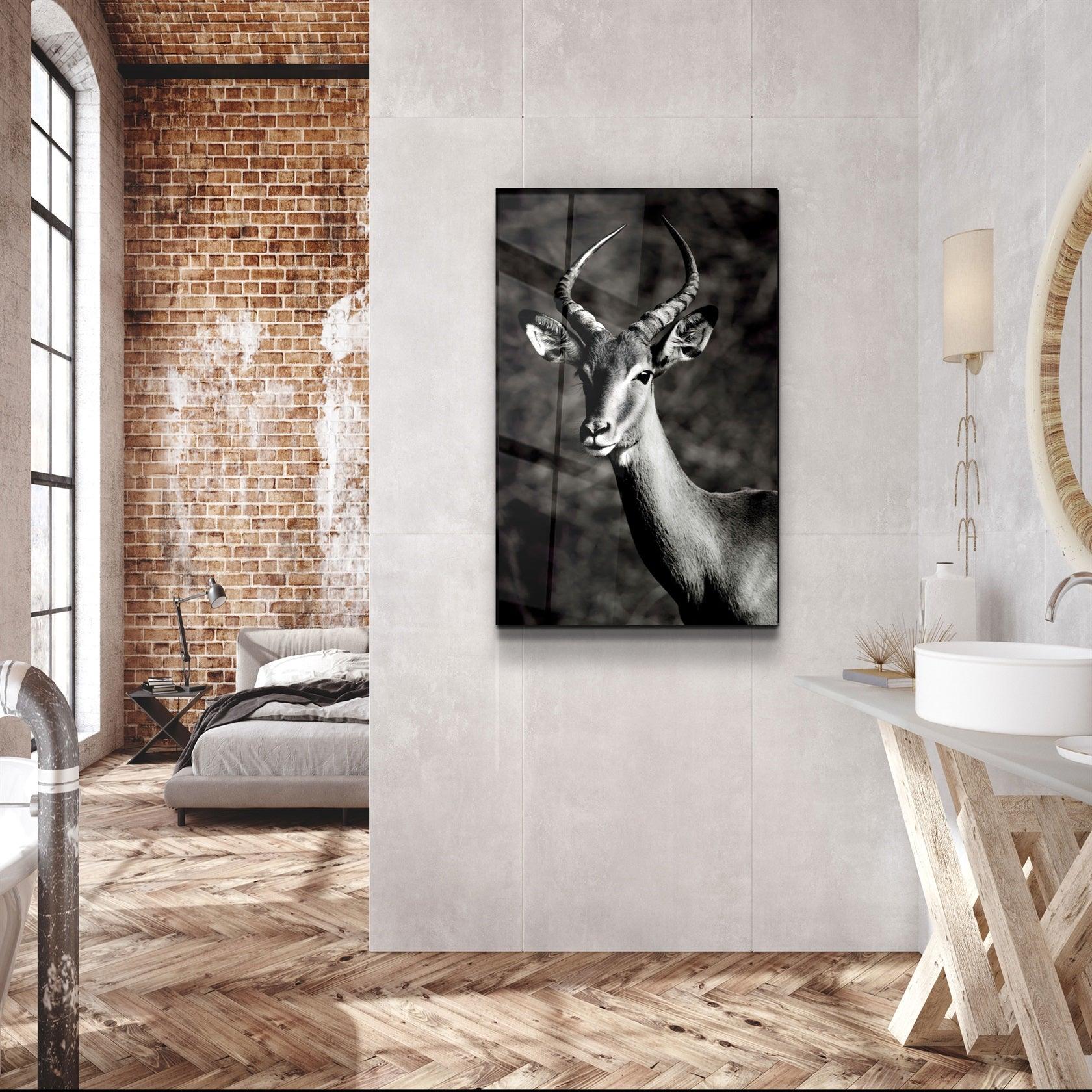 ・"Antilope Black and White"・Glass Wall Art
