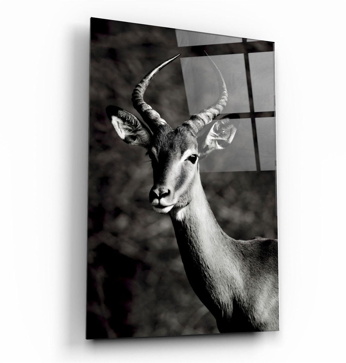 ・"Antilope Black and White"・Glass Wall Art