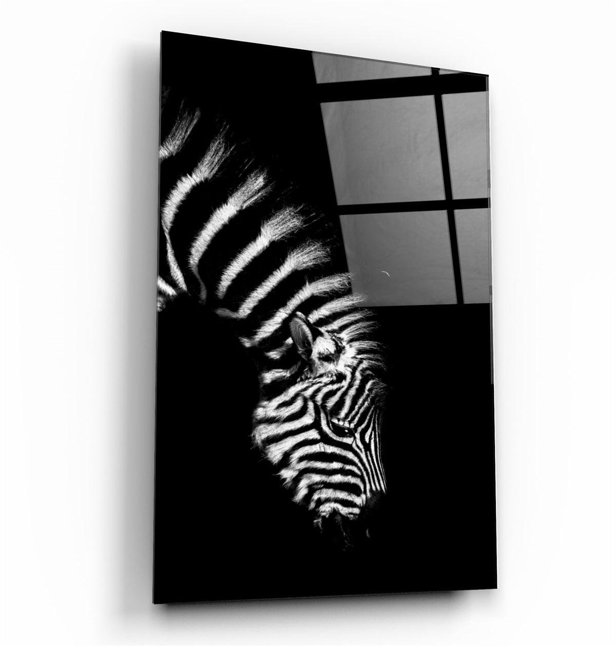 ・"Young Zebra"・Glass Wall Art