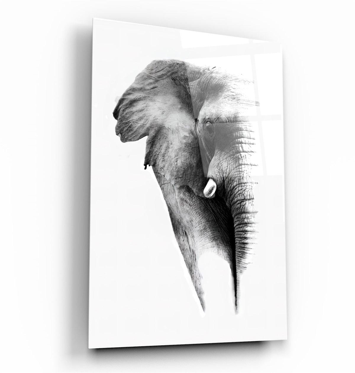 ・"Elephant V2"・Glass Wall Art