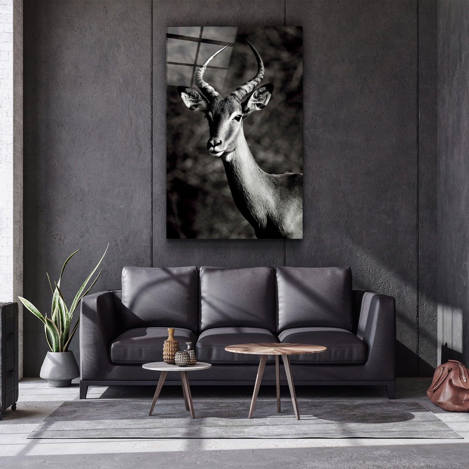 ・"Antilope Black and White"・Glass Wall Art