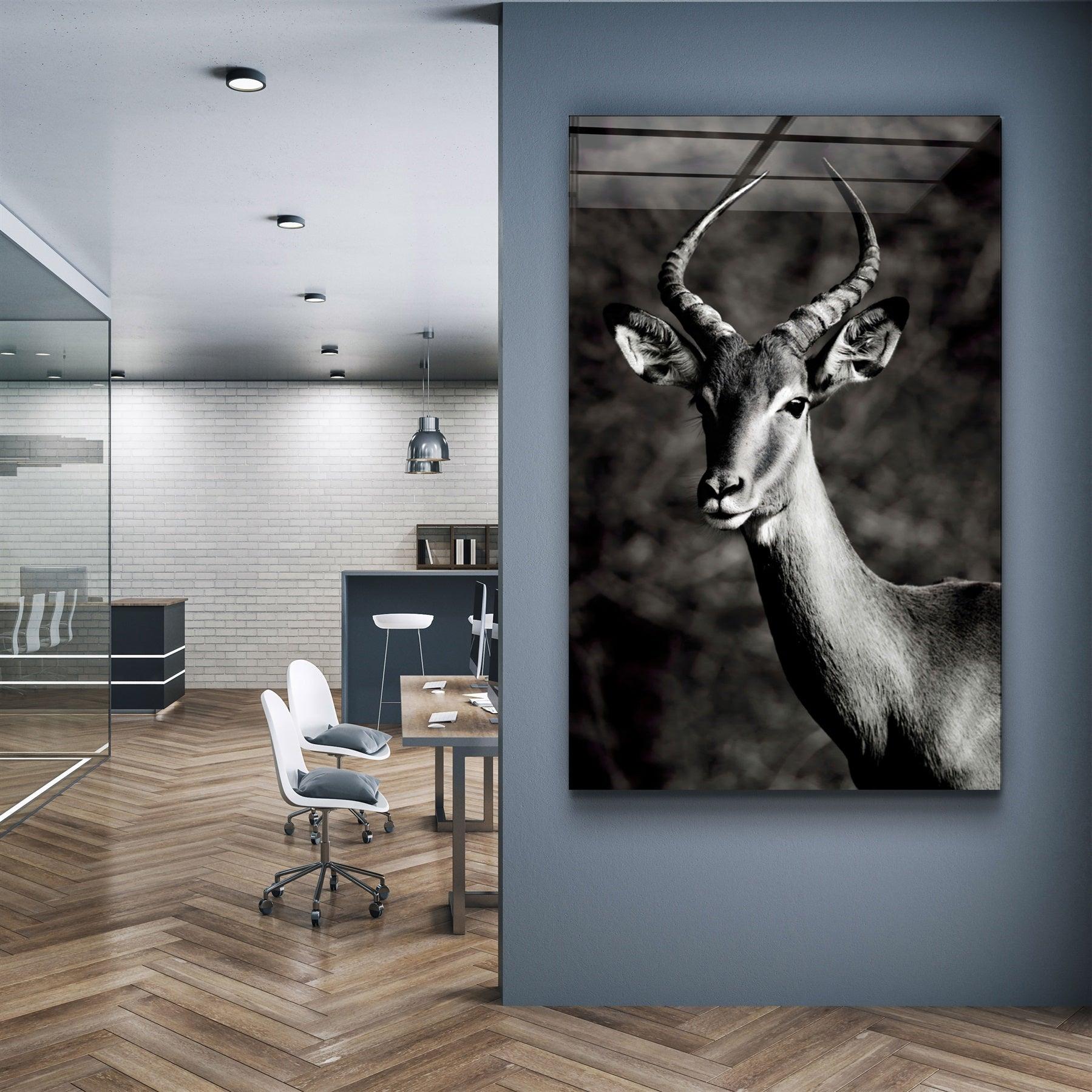 ・"Antilope Black and White"・Glass Wall Art