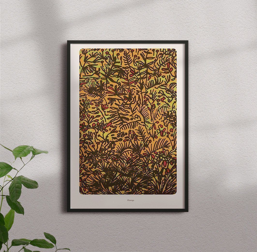 Plantago