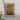 Plantago