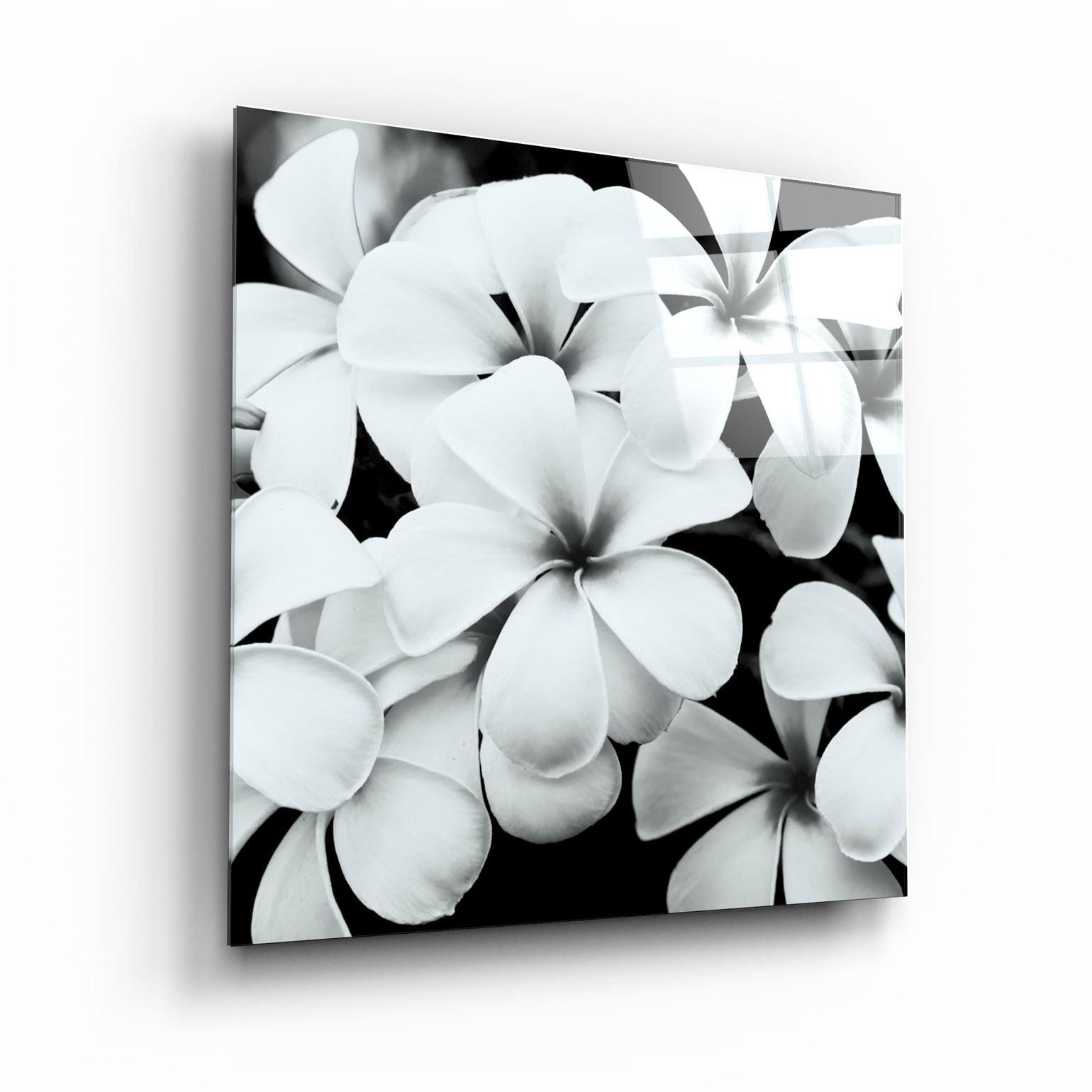 ・"Black and White Flowers"・Glass Wall Art