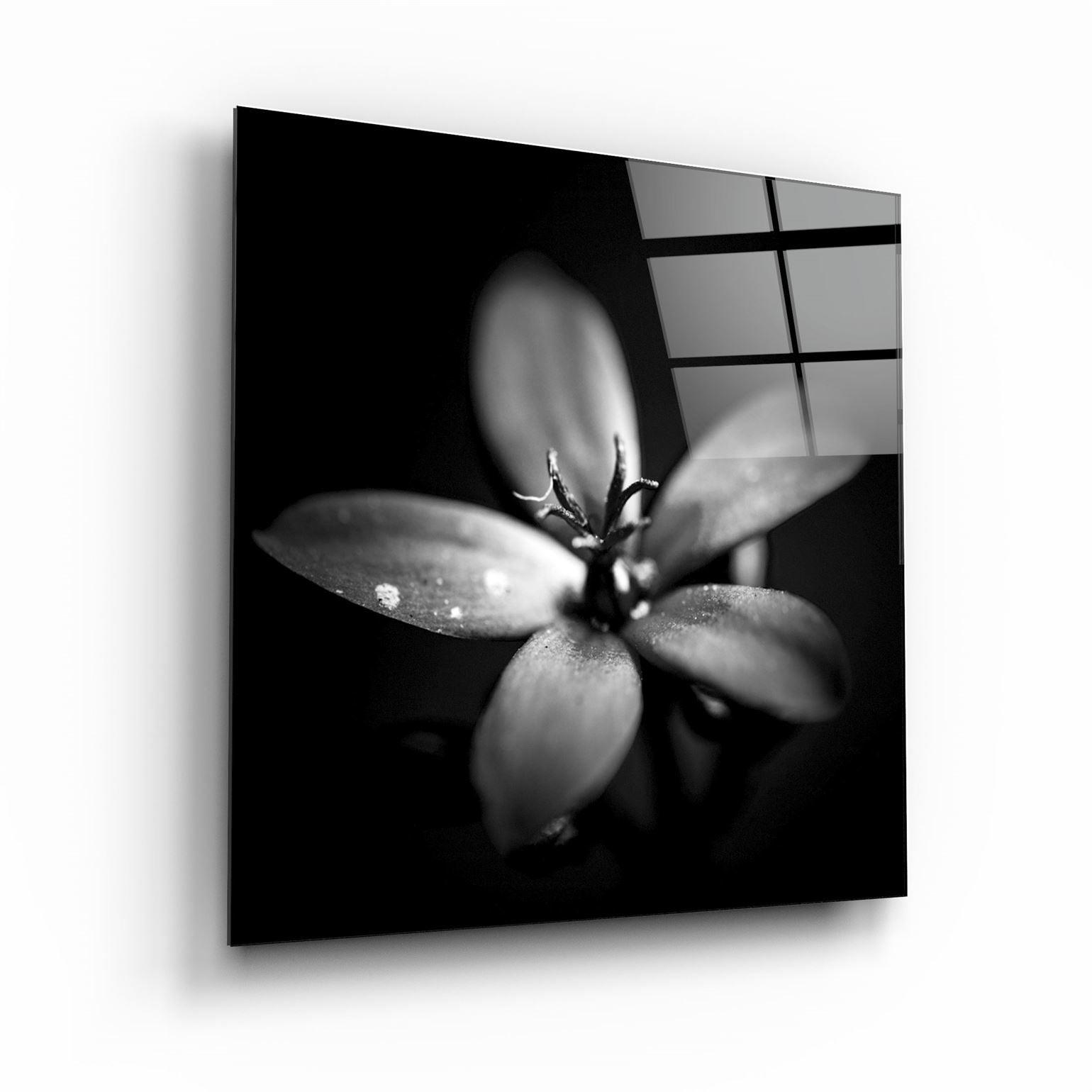 ・"Flower"・Glass Wall Art