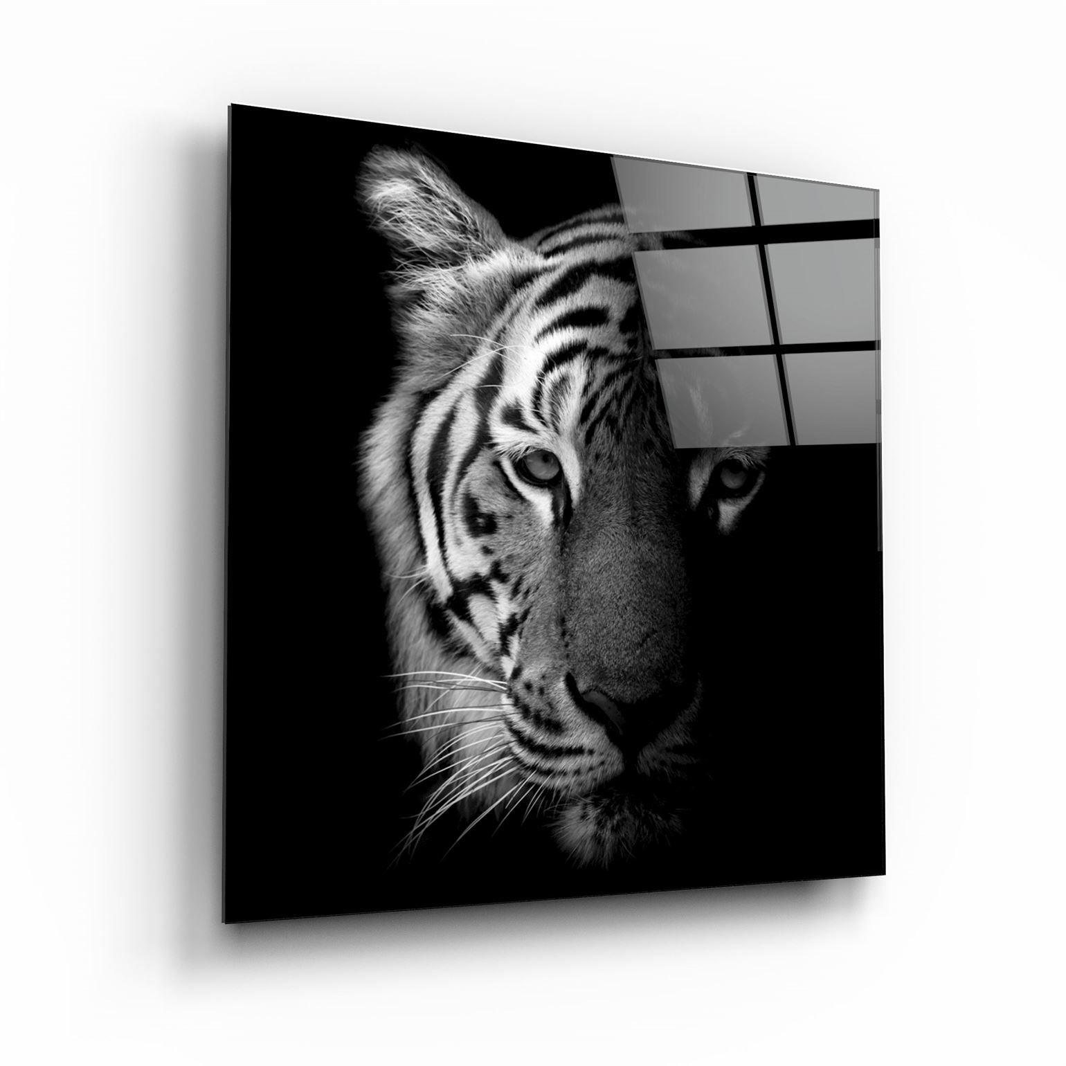 ・"Tiger"・Glass Wall Art