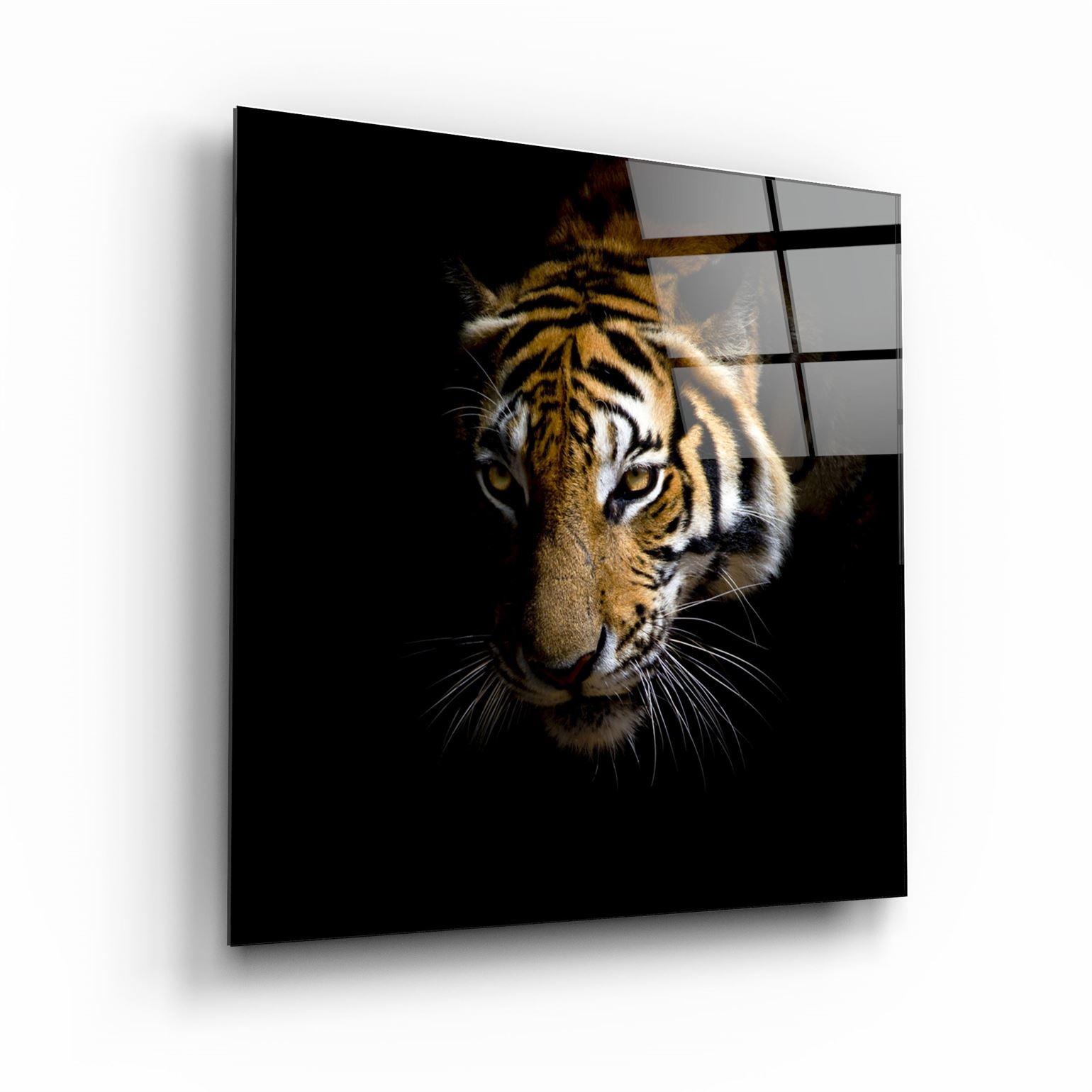 ・"Tiger"・Glass Wall Art