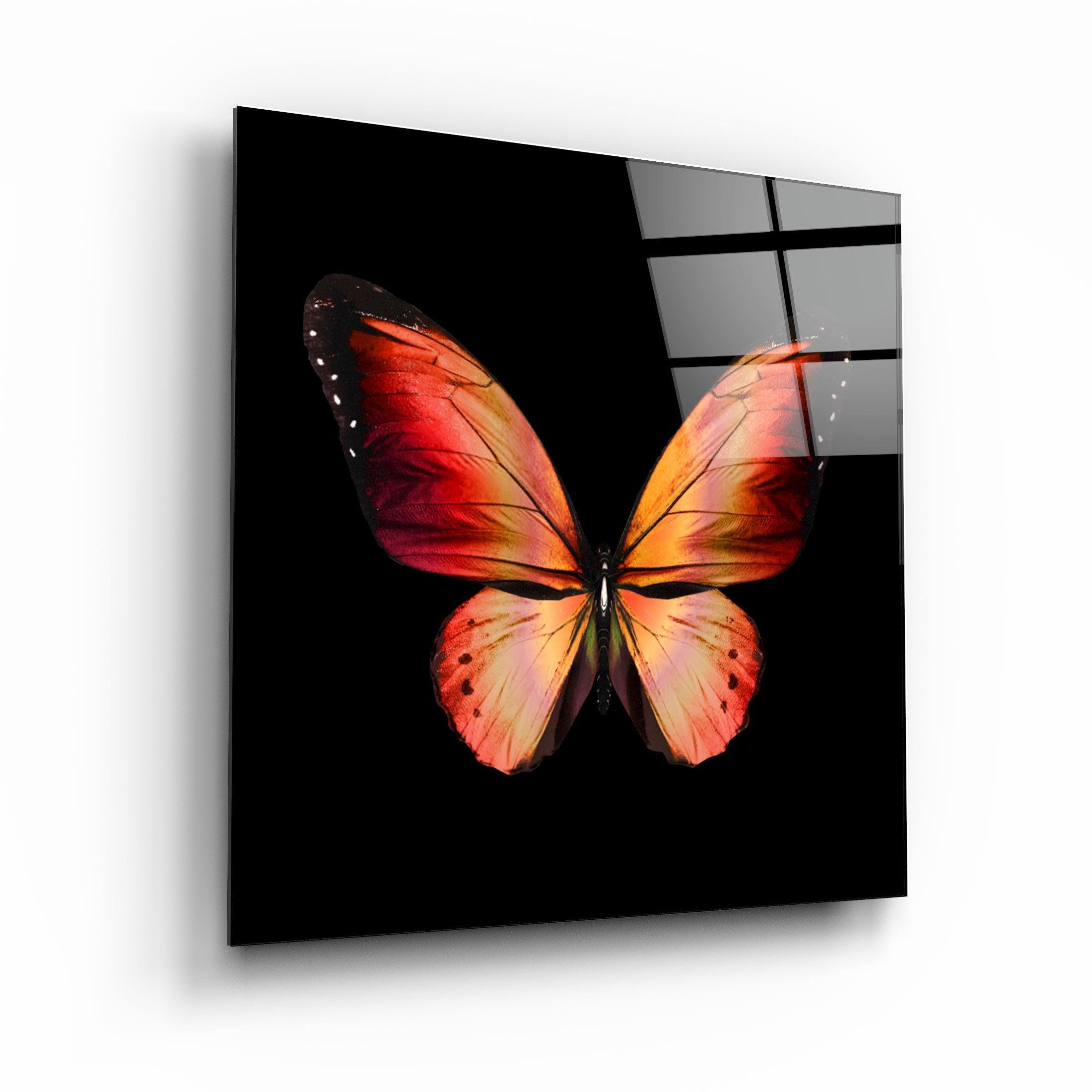 ・"Butterfly"・Glass Wall Art