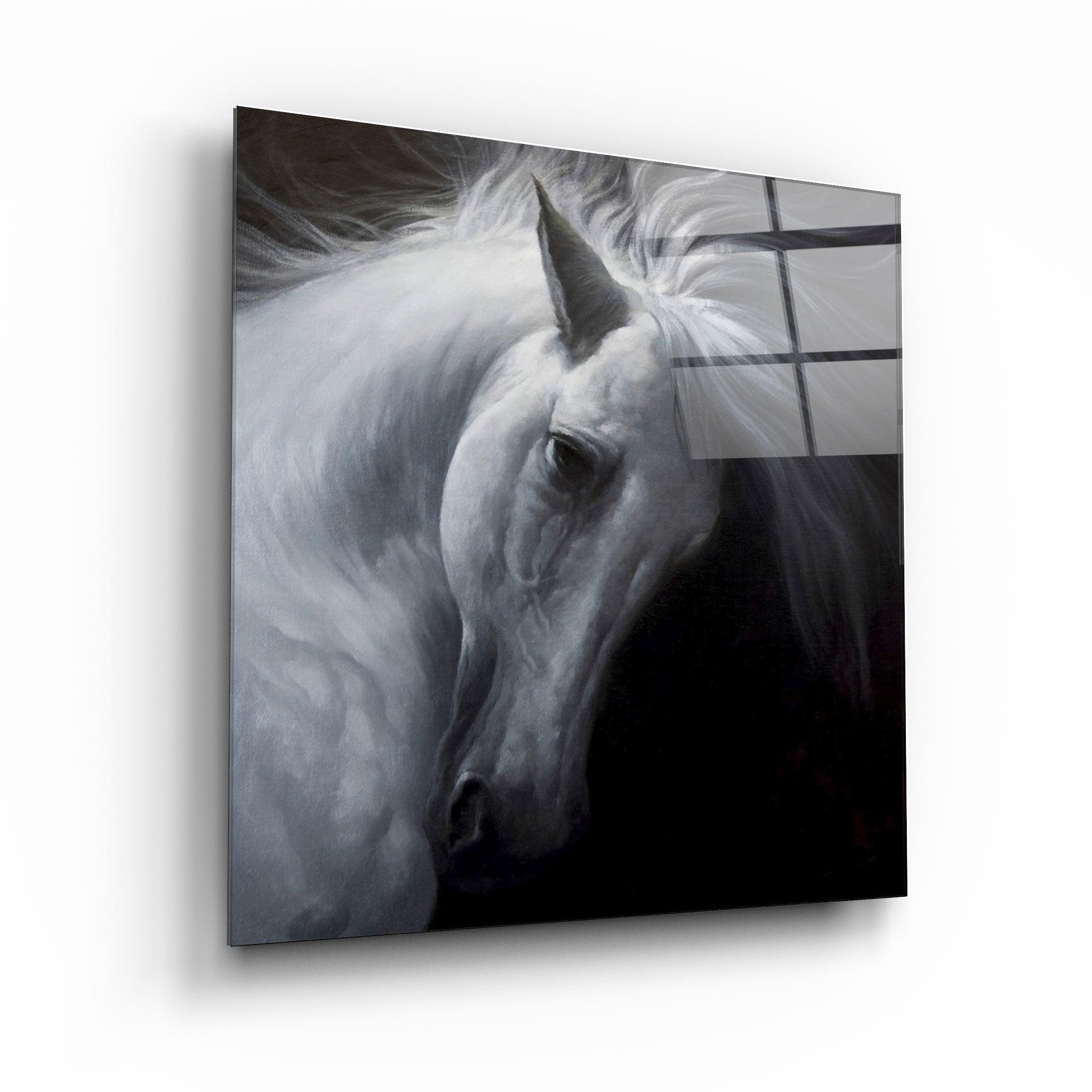 ・"Abstract White Horse"・Glass Wall Art