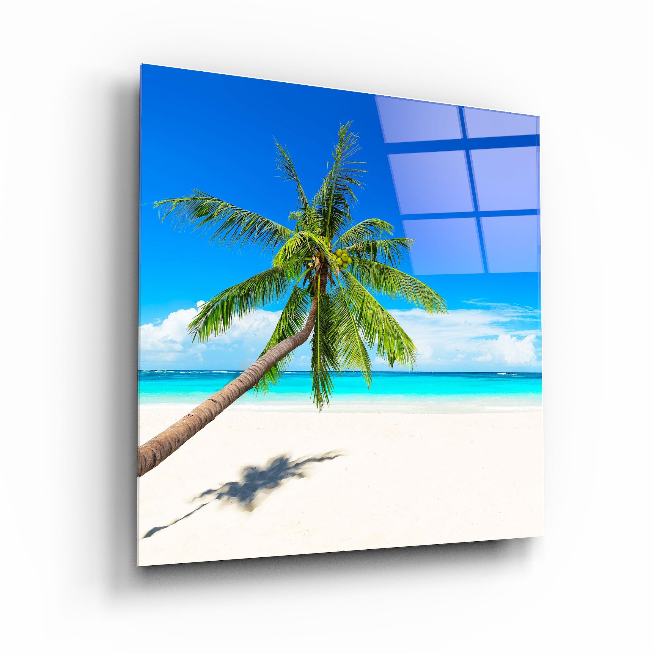 ・"Palm Tree"・Glass Wall Art