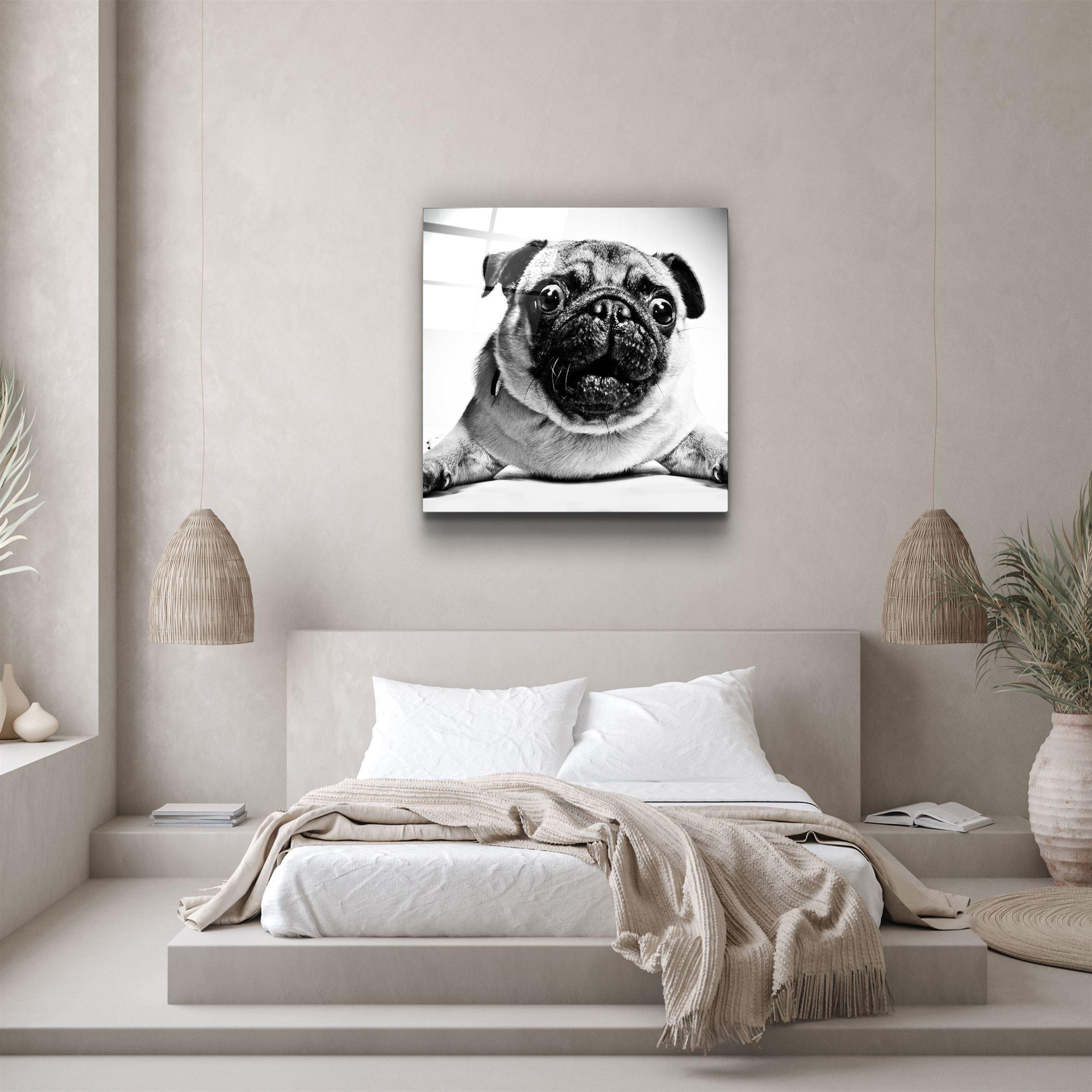 ・"Pug"・Glass Wall Art