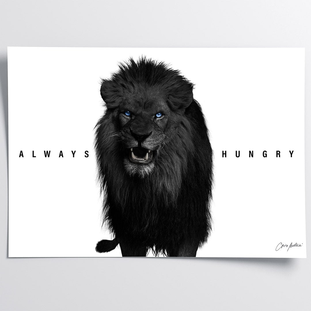 Lion N1.