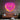 Love Doughnut Cream LED Neon Sign Light Pop Art