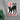 Nine Lives