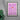 Pink ´n`Poisonous