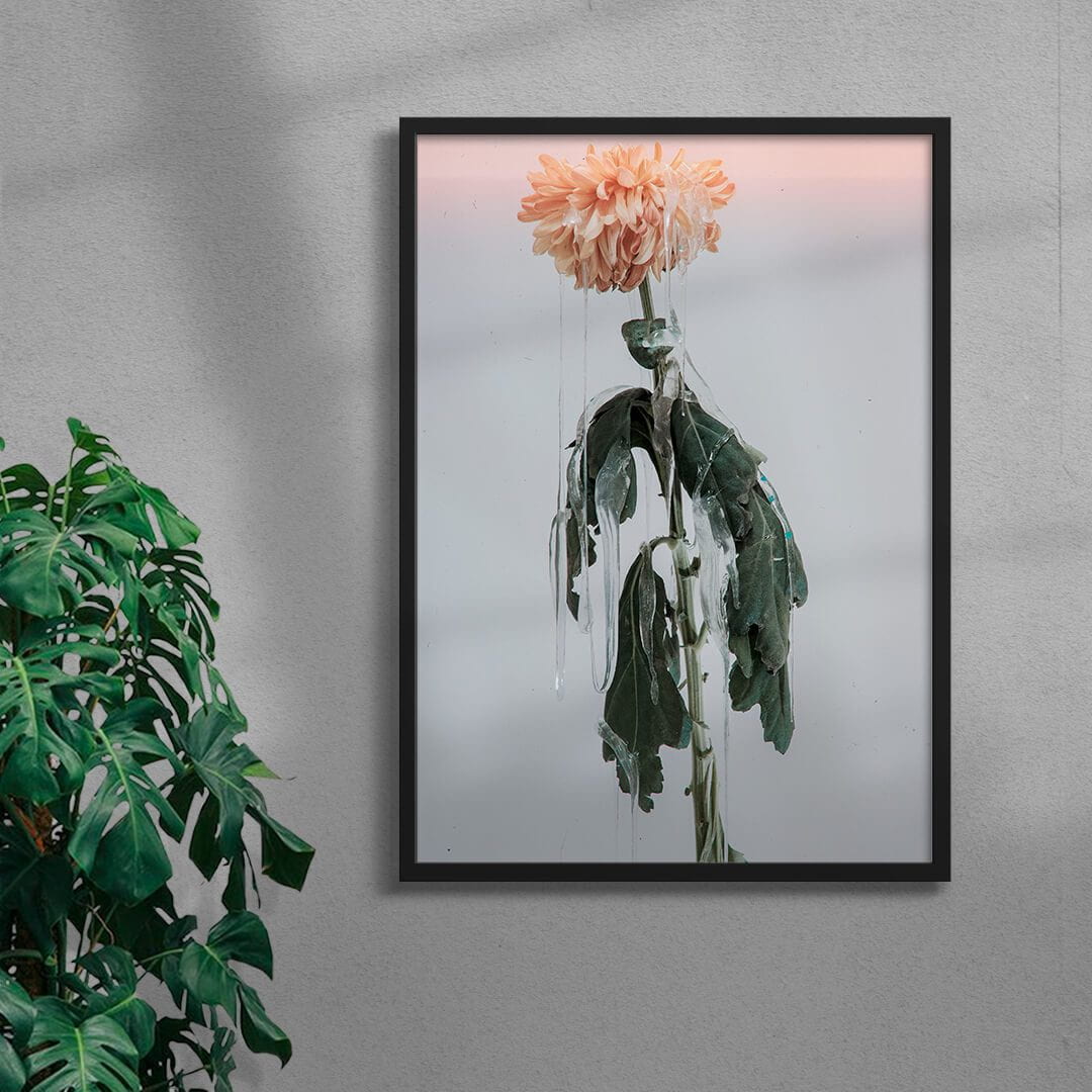 Sad Dahlia