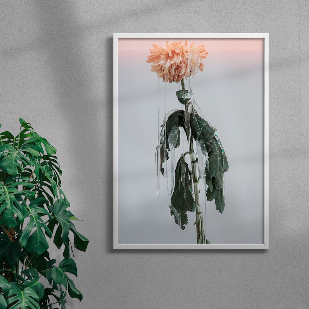 Sad Dahlia