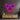 Sphynx Cat Head LED Neon Sign Light Pop Art