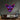 Sphynx Cat Head LED Neon Sign Light Pop Art