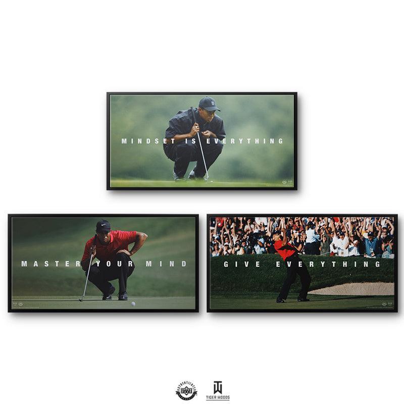 Tiger Woods Bundle