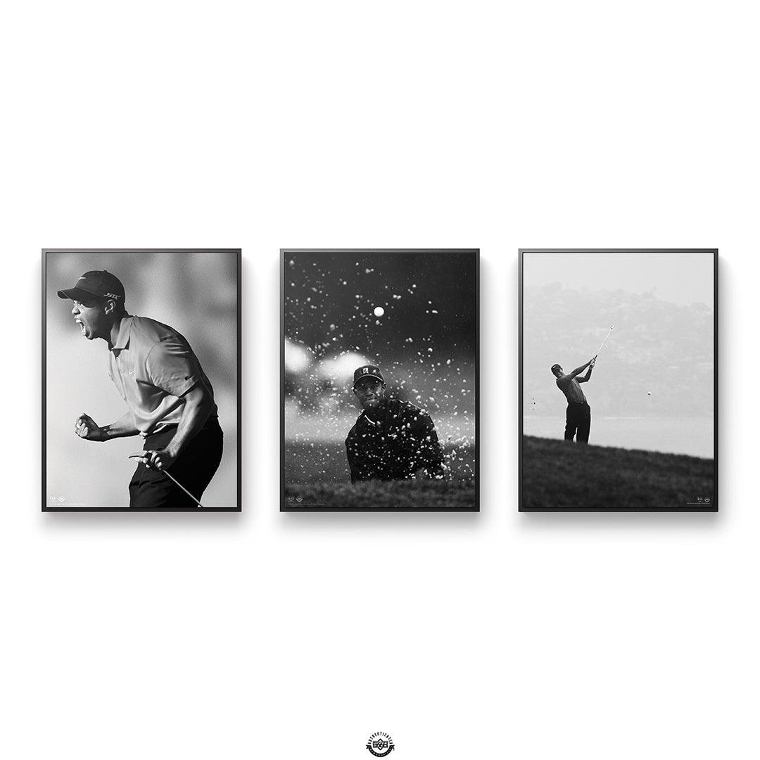 Tiger Woods Bundle 4