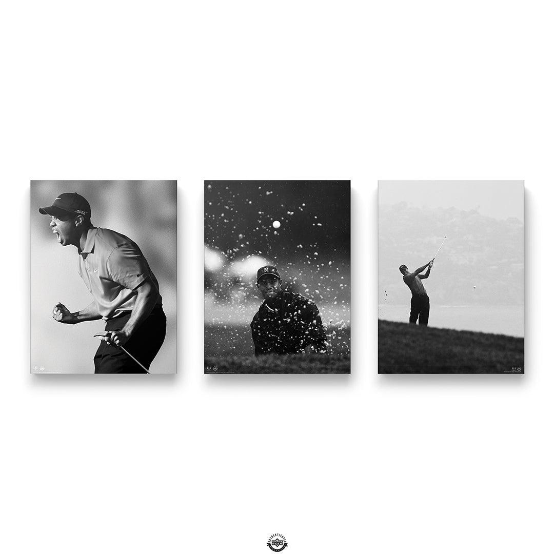 Tiger Woods Bundle 4
