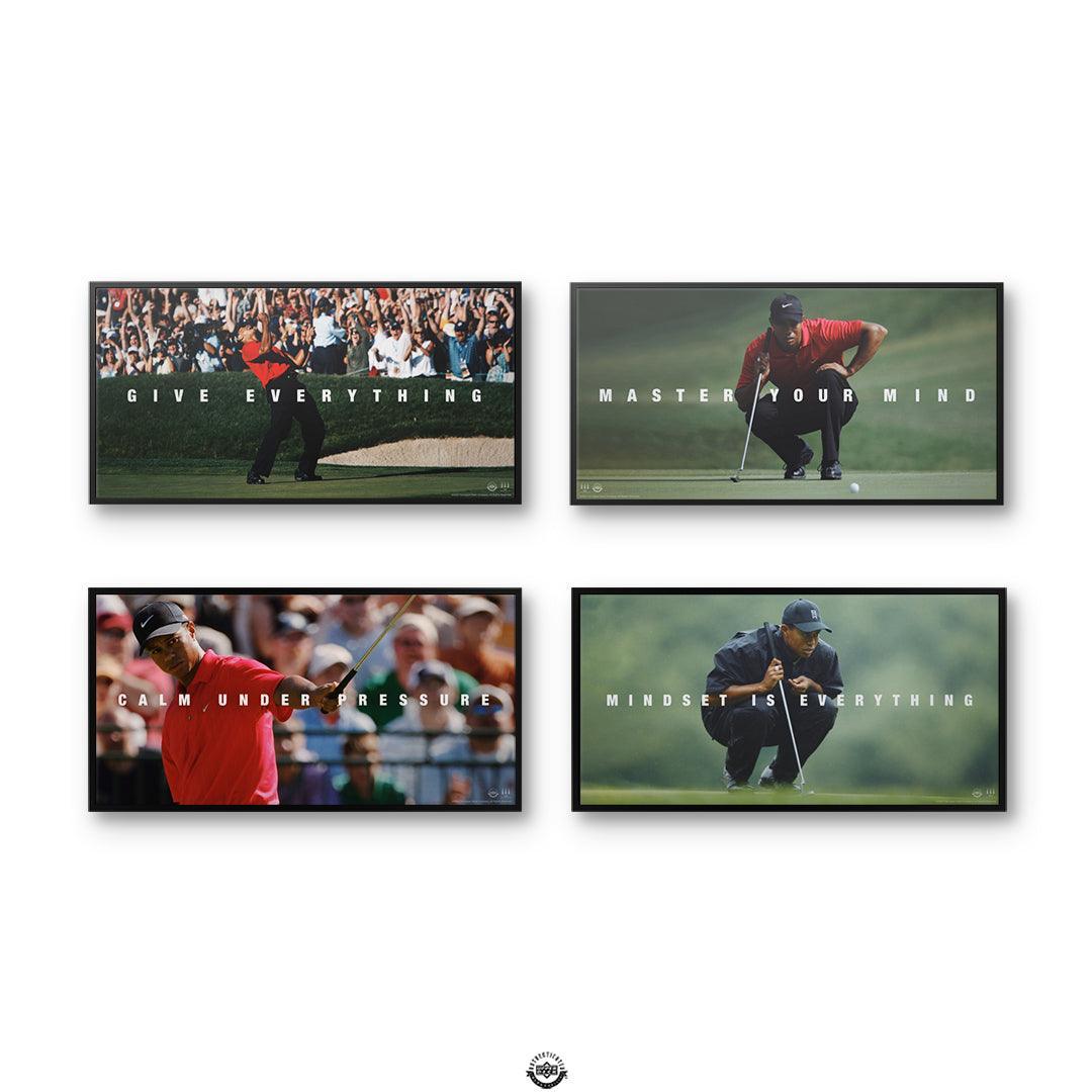 Tiger Woods Bundle 2