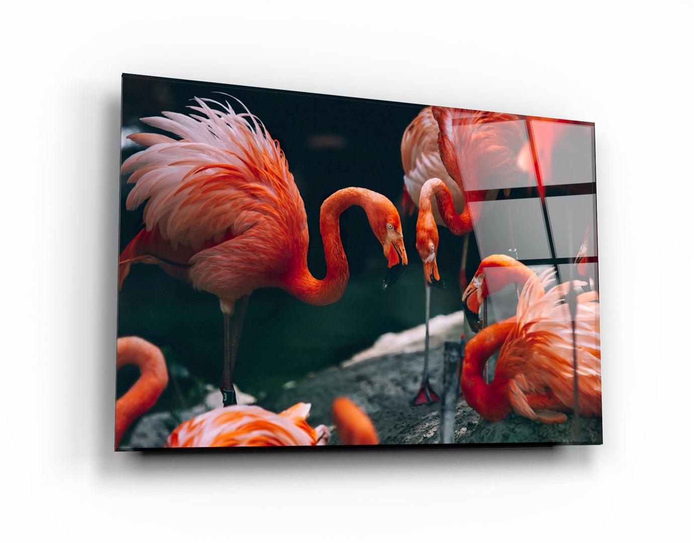 ・"Orange Flamingos"・Glass Wall Art