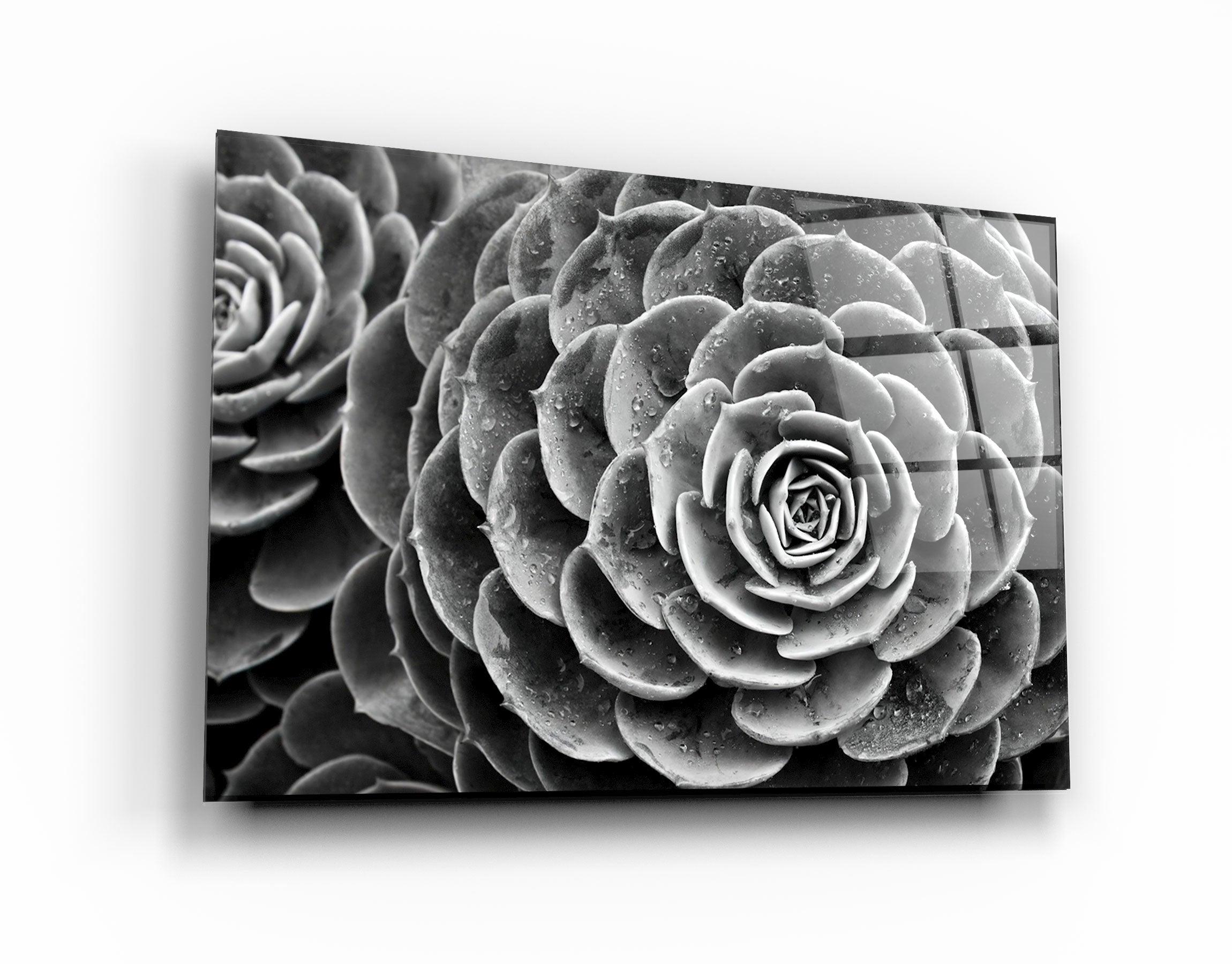 ・"Raindrops On Echeveria"・Glass Wall Art - ArtDesigna Glass Printing Wall Art