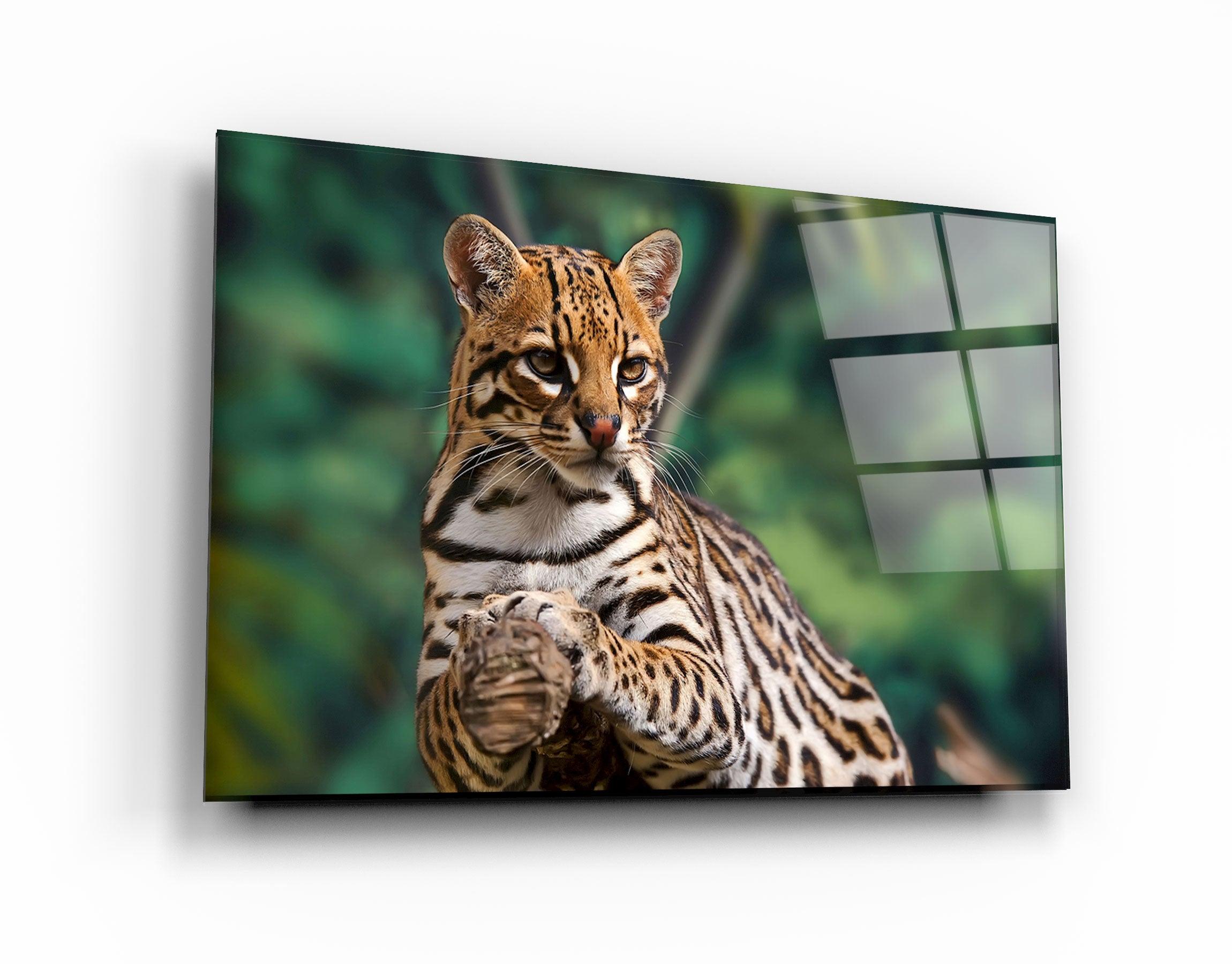 ・"Just Chillin"・Glass Wall Art - ArtDesigna Glass Printing Wall Art