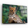・"Just Chillin"・Glass Wall Art - ArtDesigna Glass Printing Wall Art