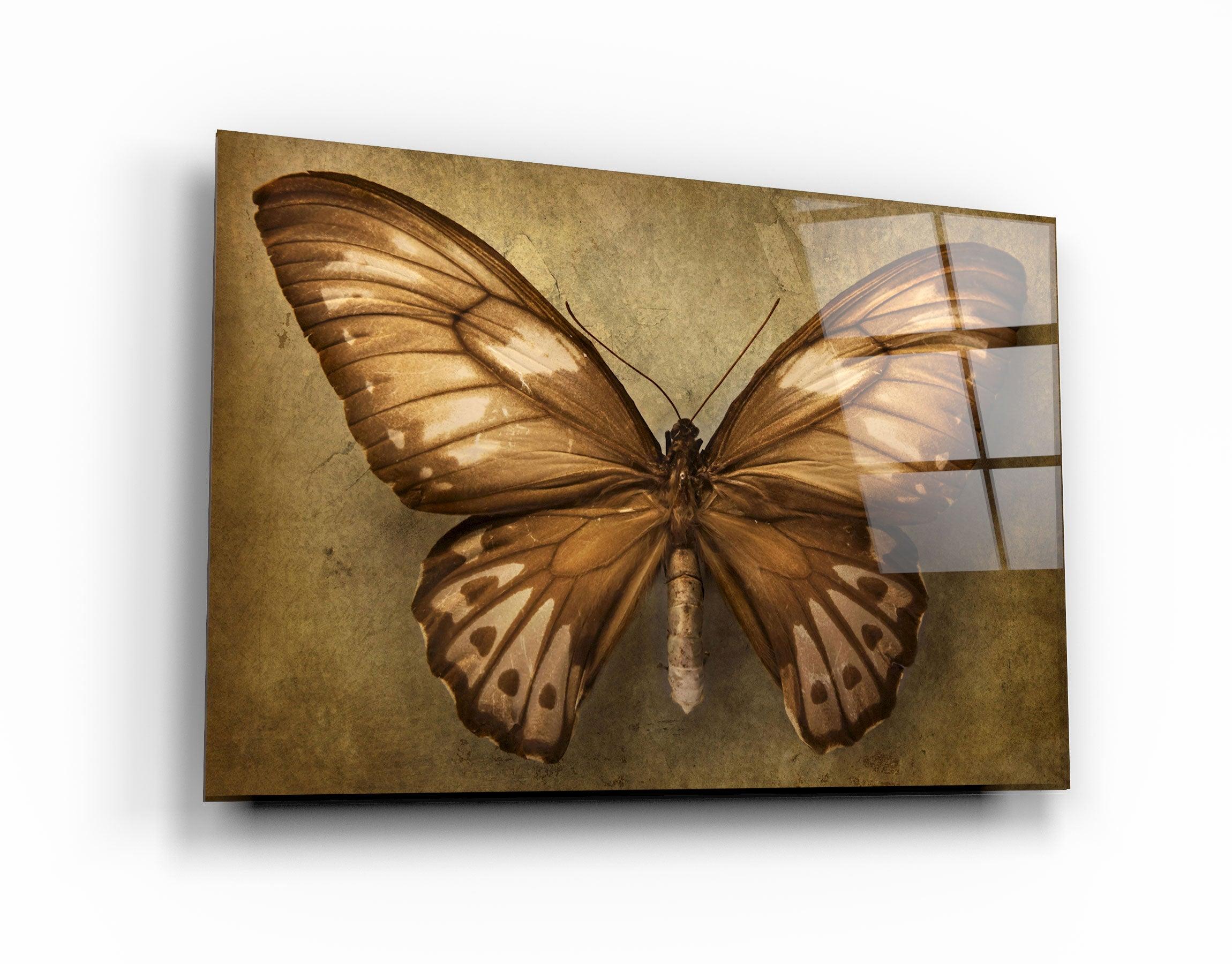 ・"Vintage Butterfly"・Glass Wall Art