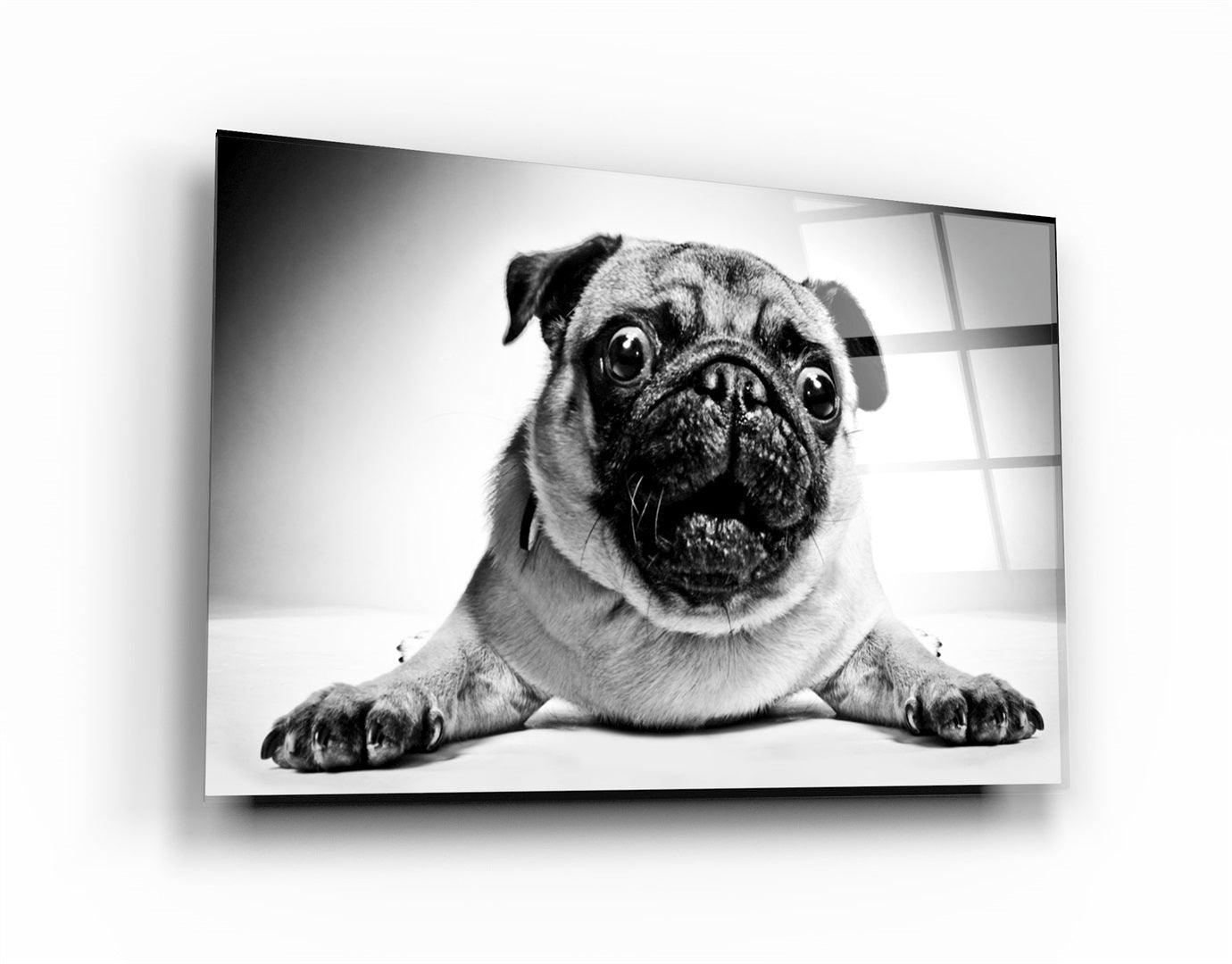 ・"Pug"・Glass Wall Art