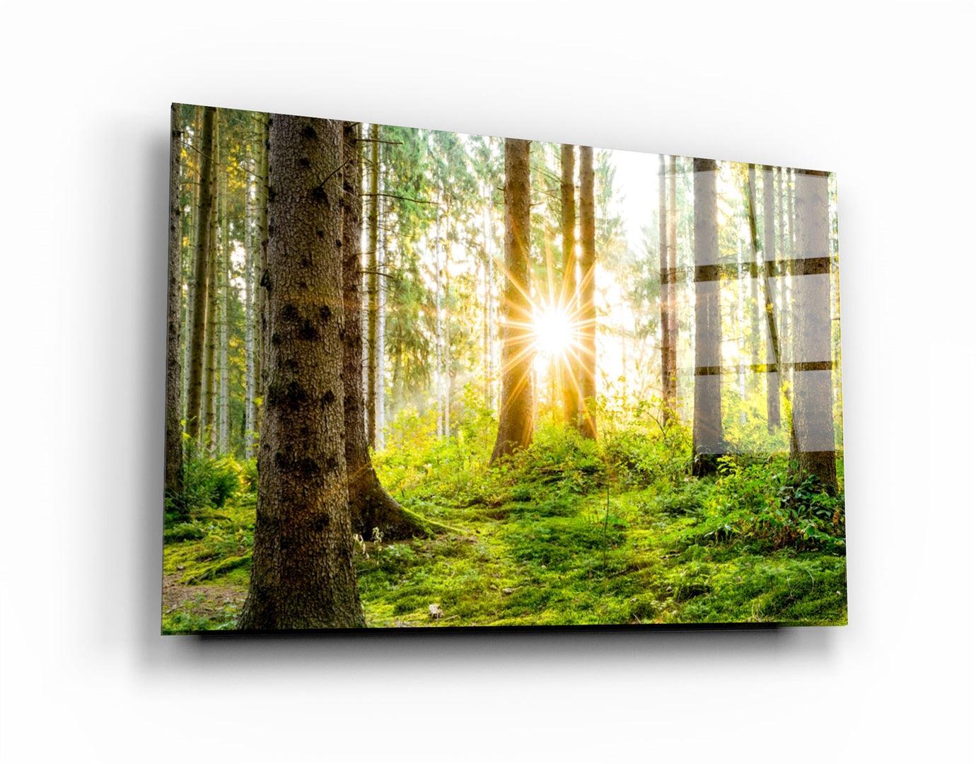 ・"The Forest"・Glass Wall Art