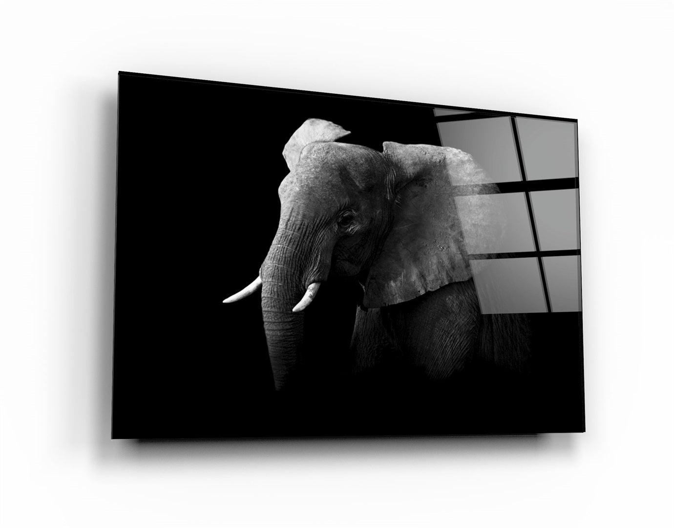 ・"Elephant"・Glass Wall Art