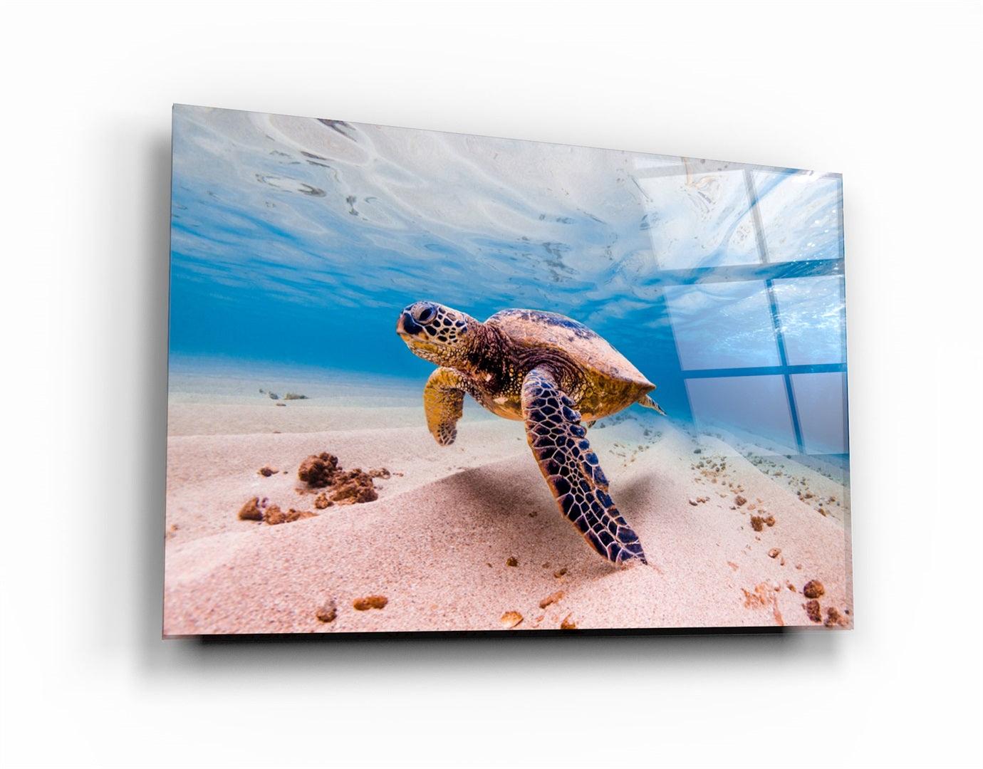 ・"Sea Turtle"・Glass Wall Art