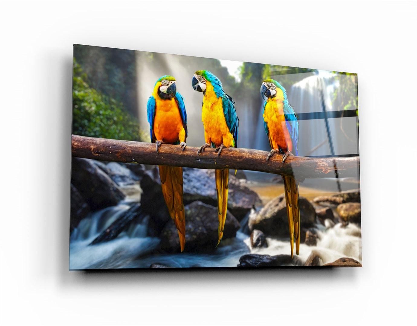 ・"Parrots"・Glass Wall Art