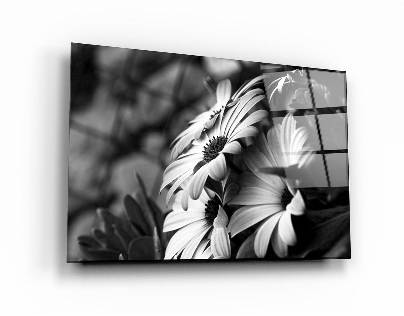 ・"Black - White Flower"・Glass Wall Art