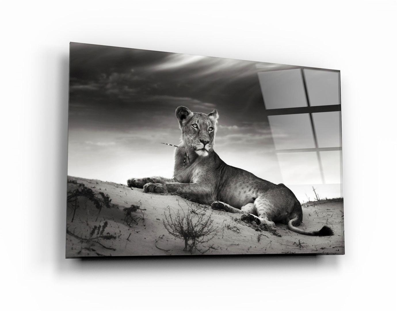 ・"Lioness"・Glass Wall Art