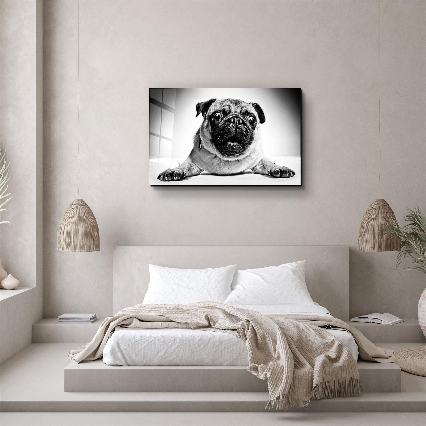 ・"Pug"・Glass Wall Art