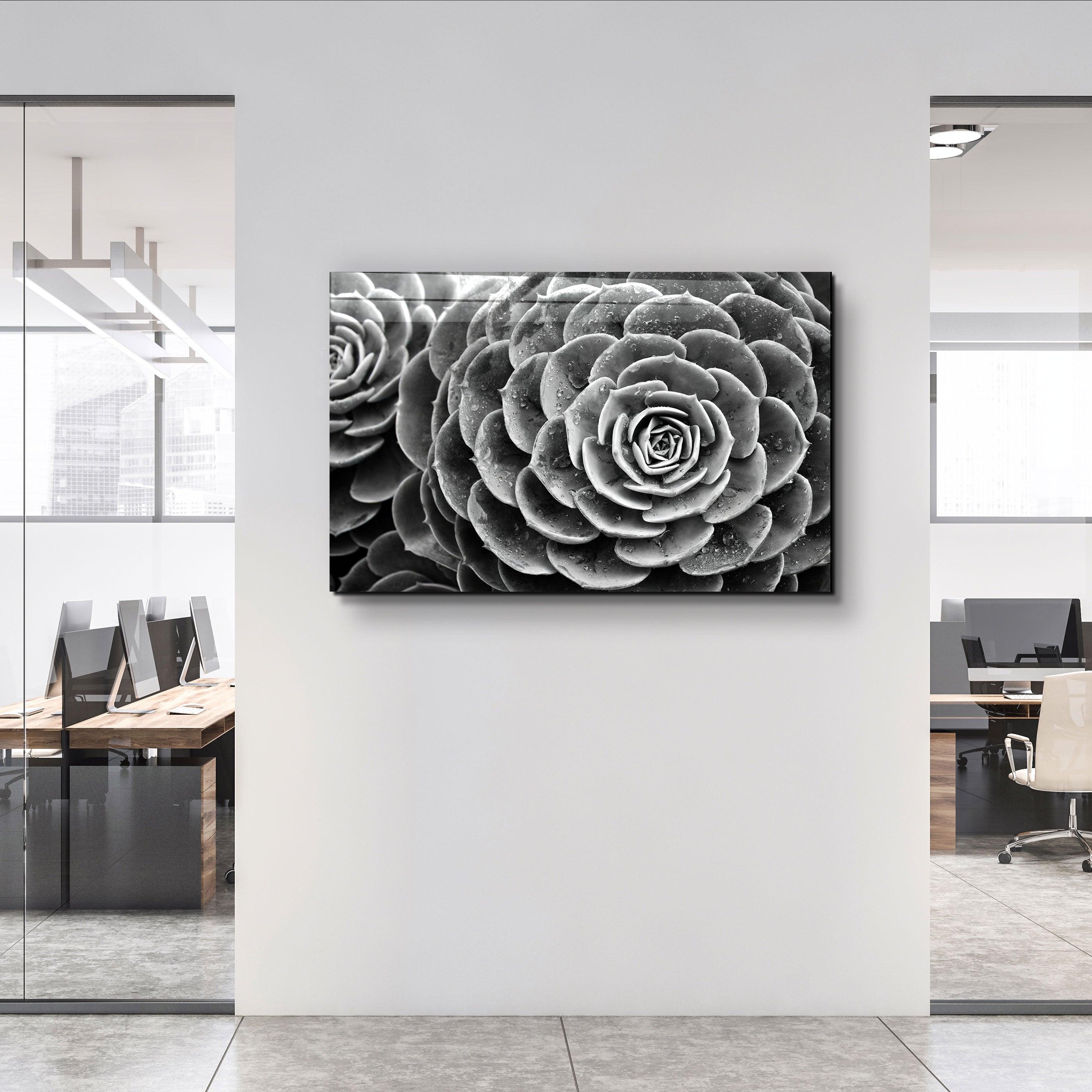 ・"Raindrops On Echeveria"・Glass Wall Art