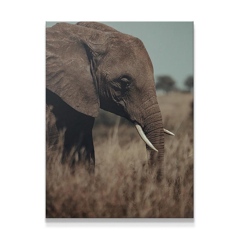 A Tall Moment