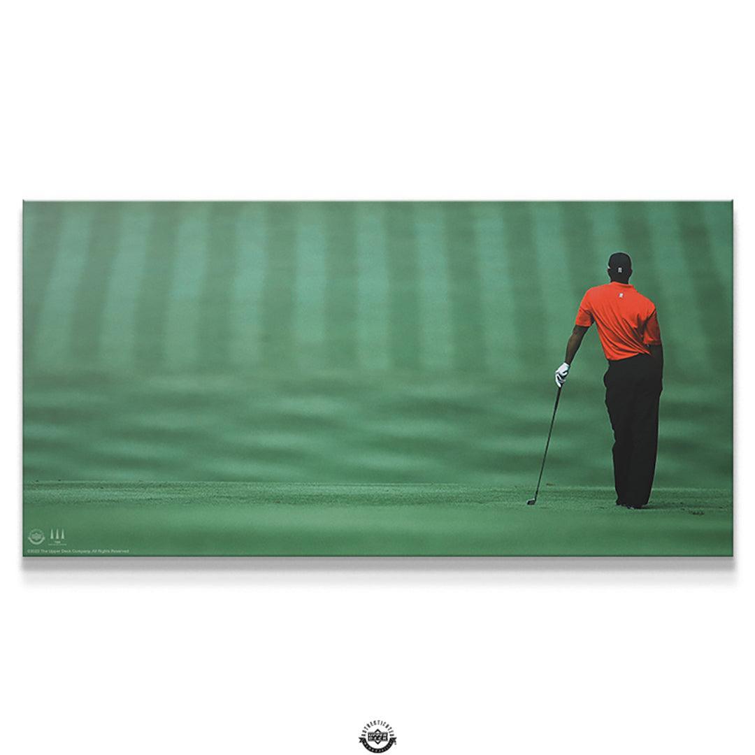 Tiger Woods - Focused