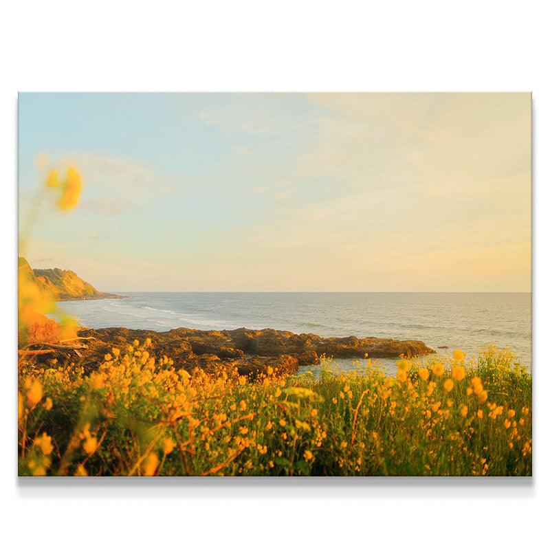 Spring Sunset