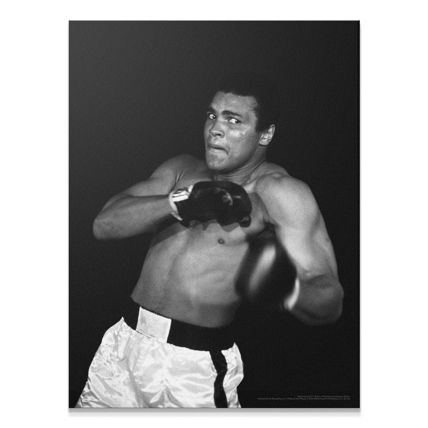 Muhammad Ali - Shadow
