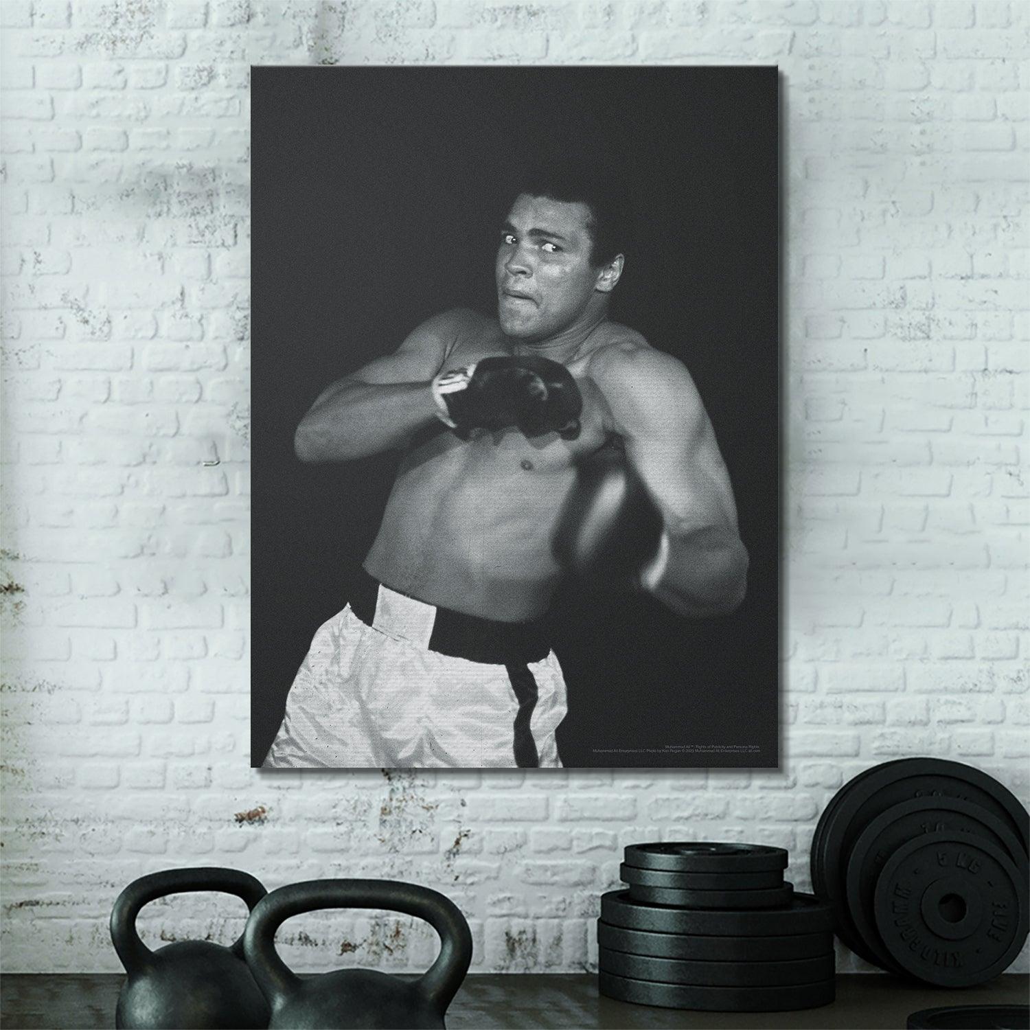 Muhammad Ali - Shadow