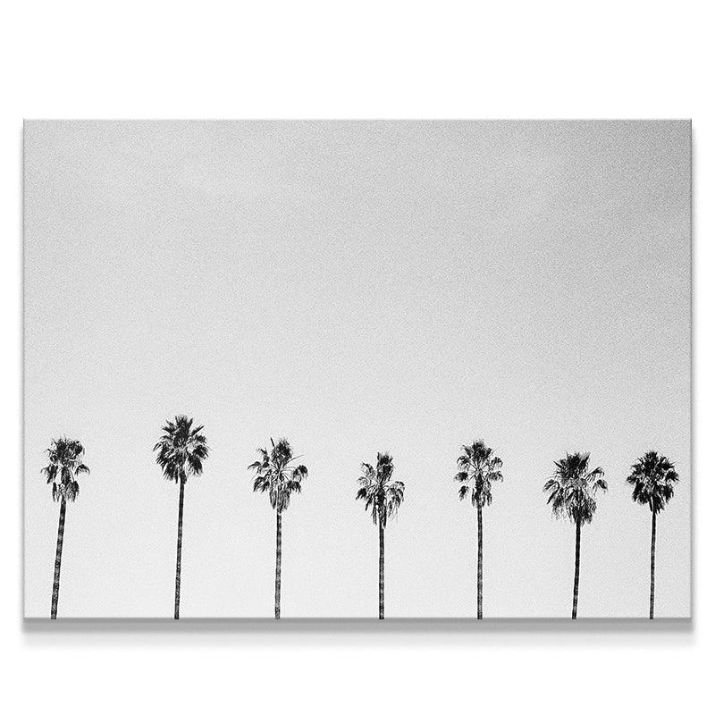 Palms
