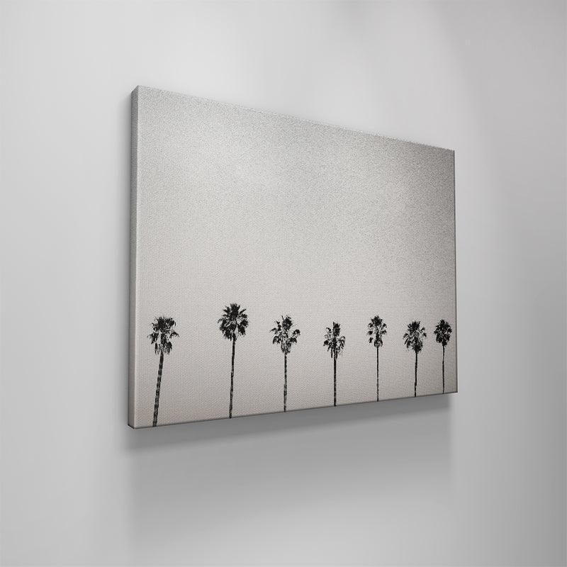 Palms