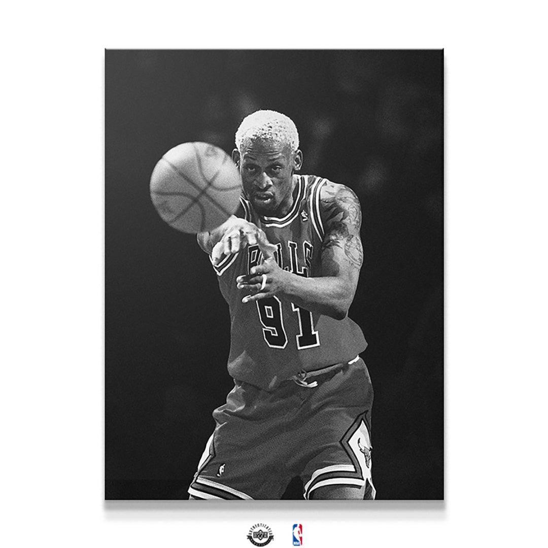 Dennis Rodman - Perspective